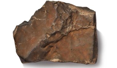 Largest chunk of Mars on Earth expected to fetch up to $4M at Sotheby's auction